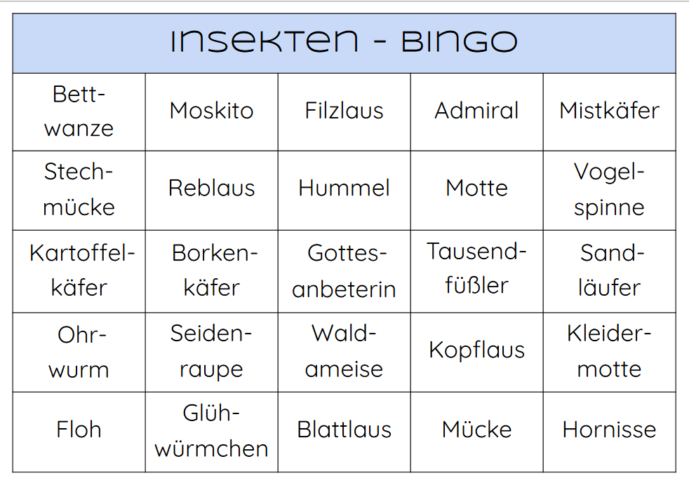 Bingo Komplett Paket Mit W Rter Bingos Jacqueline Dethloff S