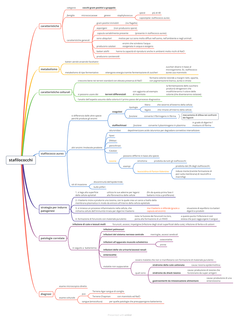 Mappe Di Microbiologia Batteri Virus Protozoi Funghi Med