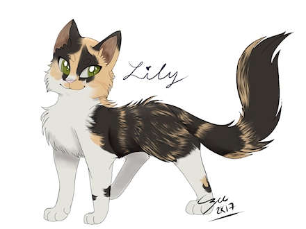 Lily the Kitty