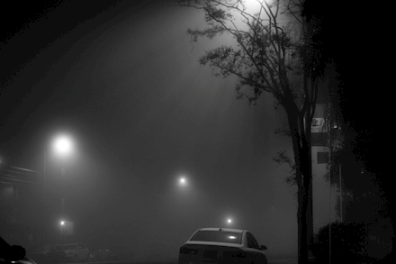Foggy Nights