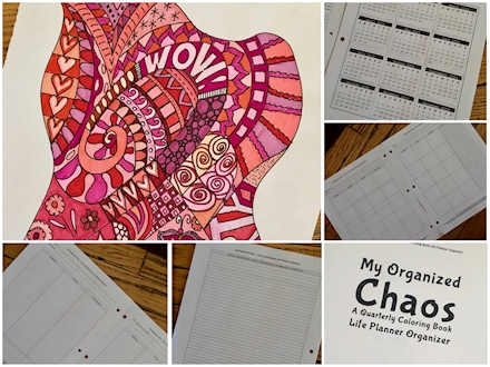 My Organized Chaos Coloring Book Planner!