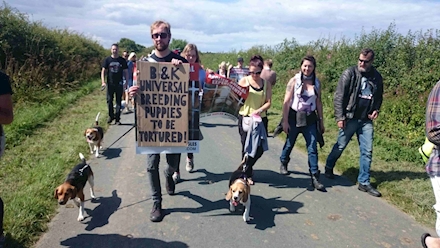 Animal testing protest near Hull