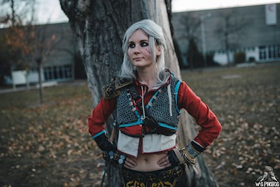 Ciri is done. Thanks for help! :)