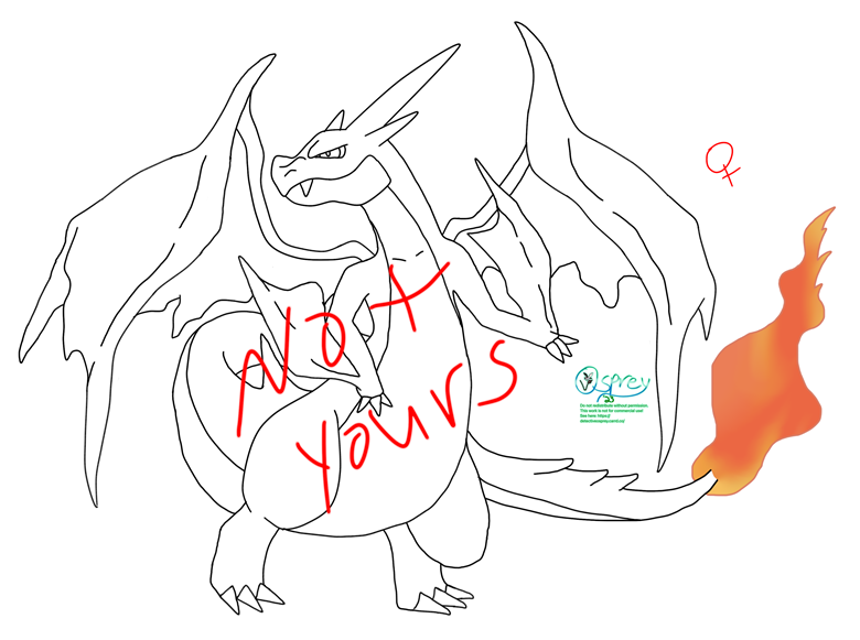 Pokemon mega log 3 Charizard Y