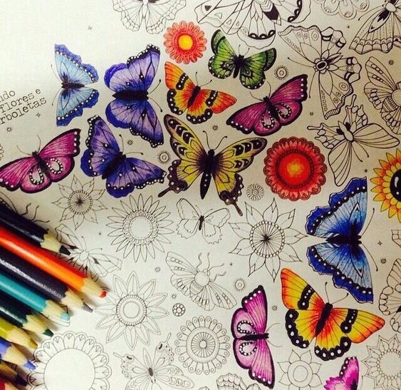 Coloring Books for Kids And Adults - Discover Your The Colorful World