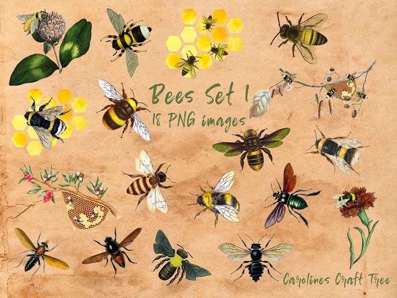 Bee png cutouts carolines craft tree s ko fi shop ko fi where