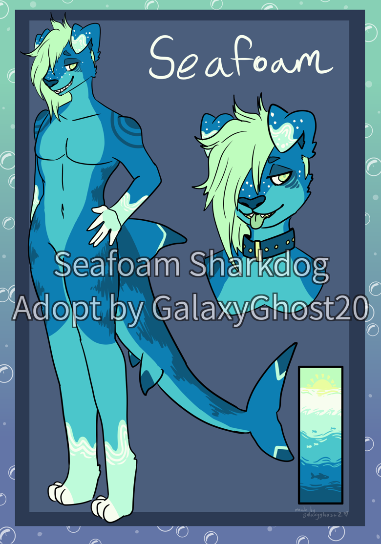 Seafoam Sharkdog - GalaxyGhost20's Ko-fi Shop - Ko-fi ️ Where creators ...