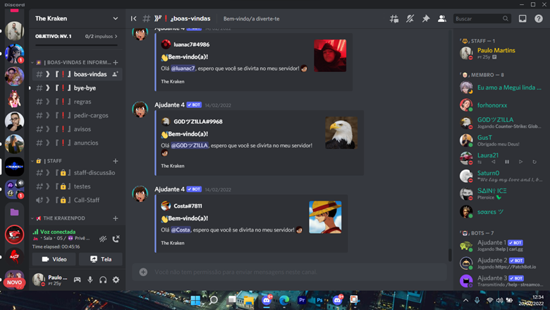 Servidor de discord totalmente configurado e com bots em Brasil