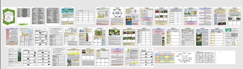 Ecosystems Revision Guide - Fiona Old's Ko-fi Shop - Ko-fi ️ Where ...