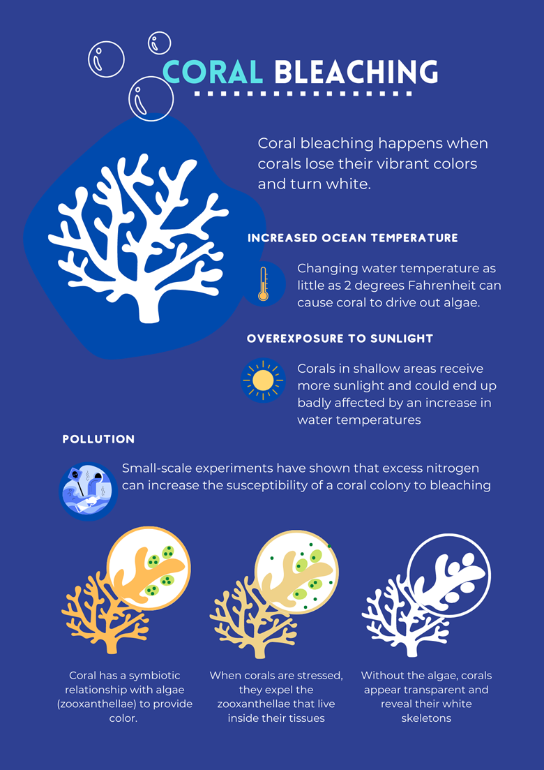 [Science Poster] Coral Bleaching - Mayyas's Ko-fi Shop - Ko-fi ️ Where ...