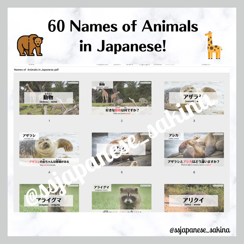 60 Animal Names in Japanese | pdf file | slide - 𝗦𝗦 𝗝𝗔𝗣𝗔𝗡𝗘𝗦𝗘  -𝗯𝘆 𝗦𝗮𝗸𝗶𝗻𝗮's Ko-fi Shop - Ko-fi ❤️ Where creators get support from  fans through donations, memberships, shop sales and