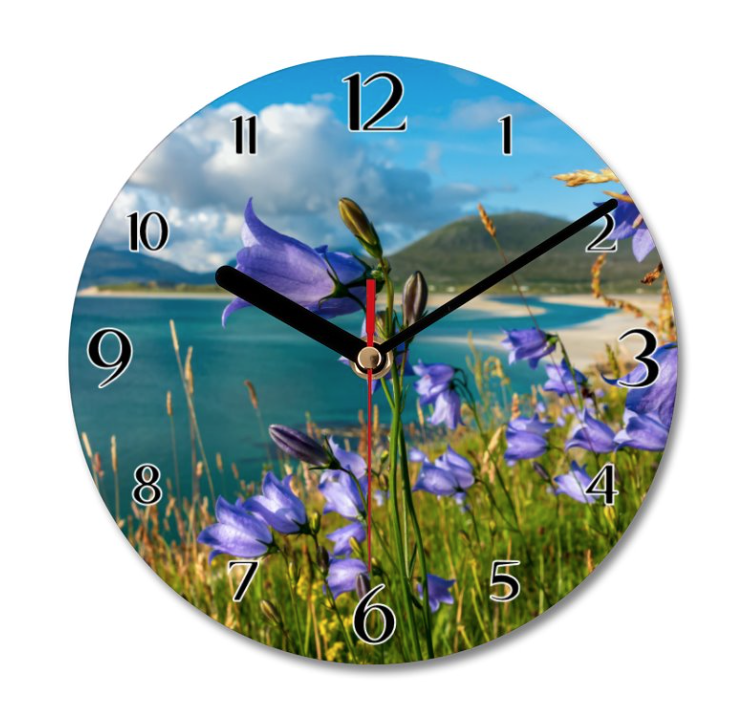 Clock - Harebells at Seilebost Beach to Losgaintir (Luskentyre Beach ...