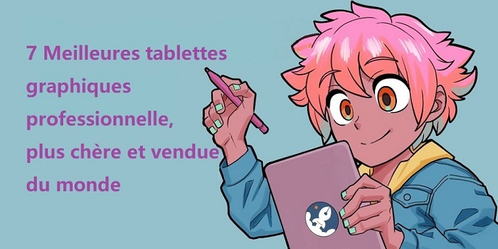 Tablette Graphique ou Ipad Pro pour Dessiner: l'avis des illustrateurs,  dessinateurs et graphistes