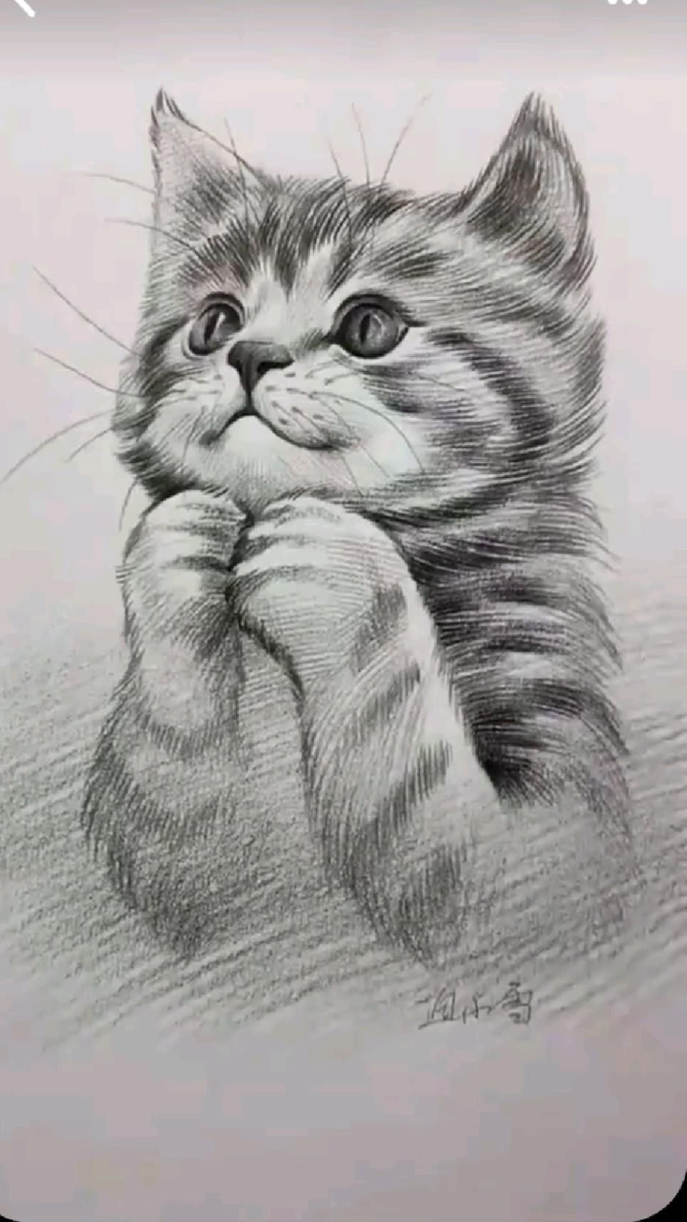 Old Cat Sketch 1 - Pinkfoot Gallery