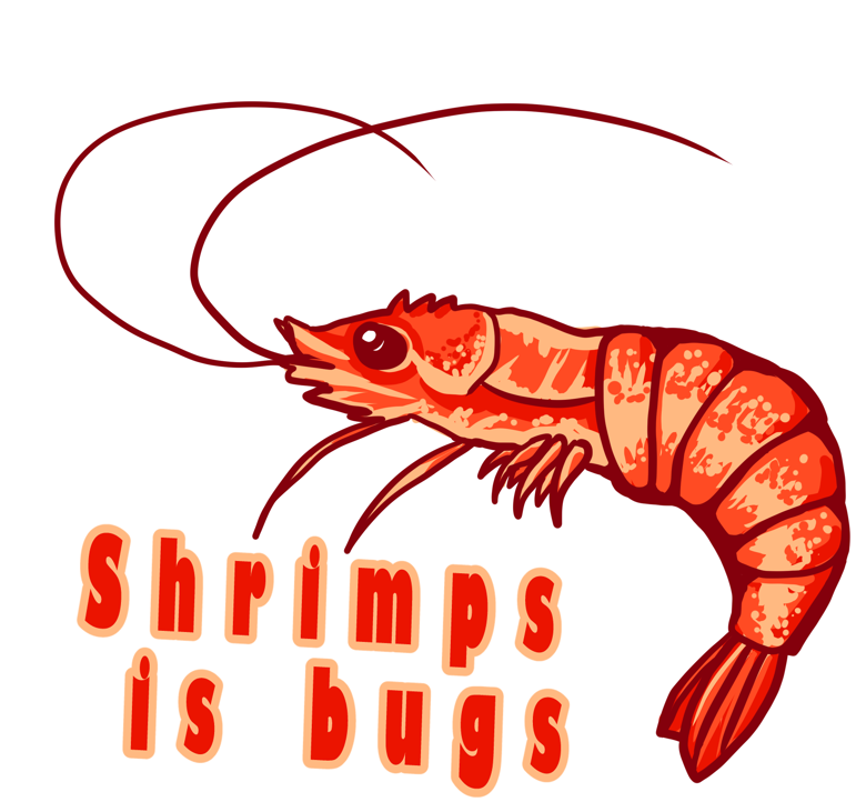 Shrimps is Bugs Sticker - SgtSquishy's Ko-fi Shop - Ko-fi ️ Where ...