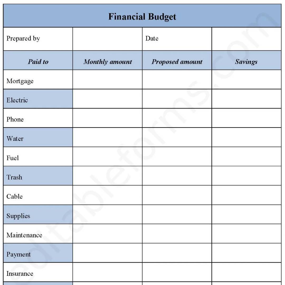 Financial Budget Fillable PDF Template - Editable Forms's Ko-fi Shop ...