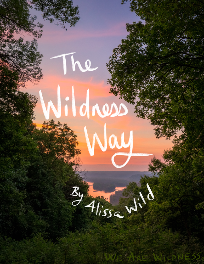 We Find Wildness