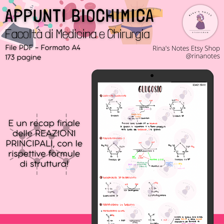 REAZIONI Biochimica - Medicina E Chirurgia (Padova) - Rina's Notes's Ko ...