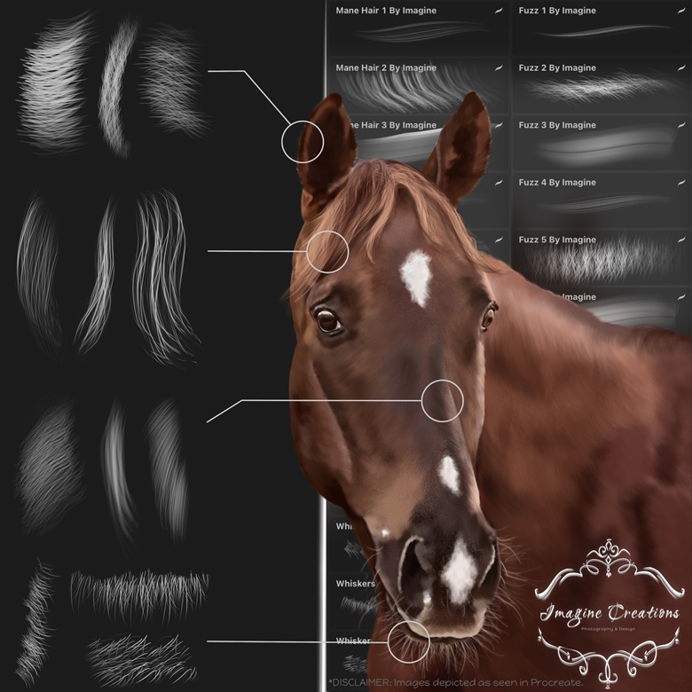 animal hair brush photoshop free download