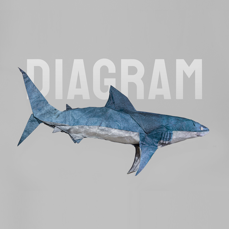 Shark Diagram PDF - im rich's Ko-fi Shop