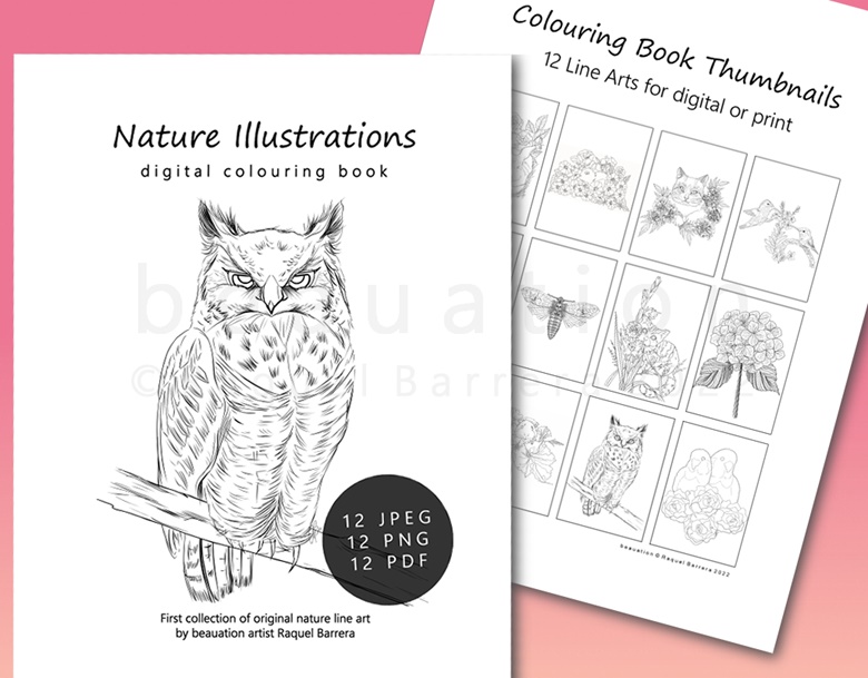 Coloring Book Adult Coloring Book Original Illustrations Art