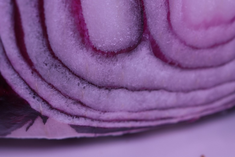 Macro shot of a red onion - Howansky's Ko-fi Shop - Ko-fi ️ Where ...