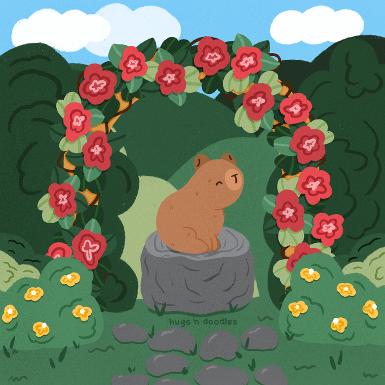 Capybara Nap Background Images, HD Pictures and Wallpaper For Free Download  | Pngtree