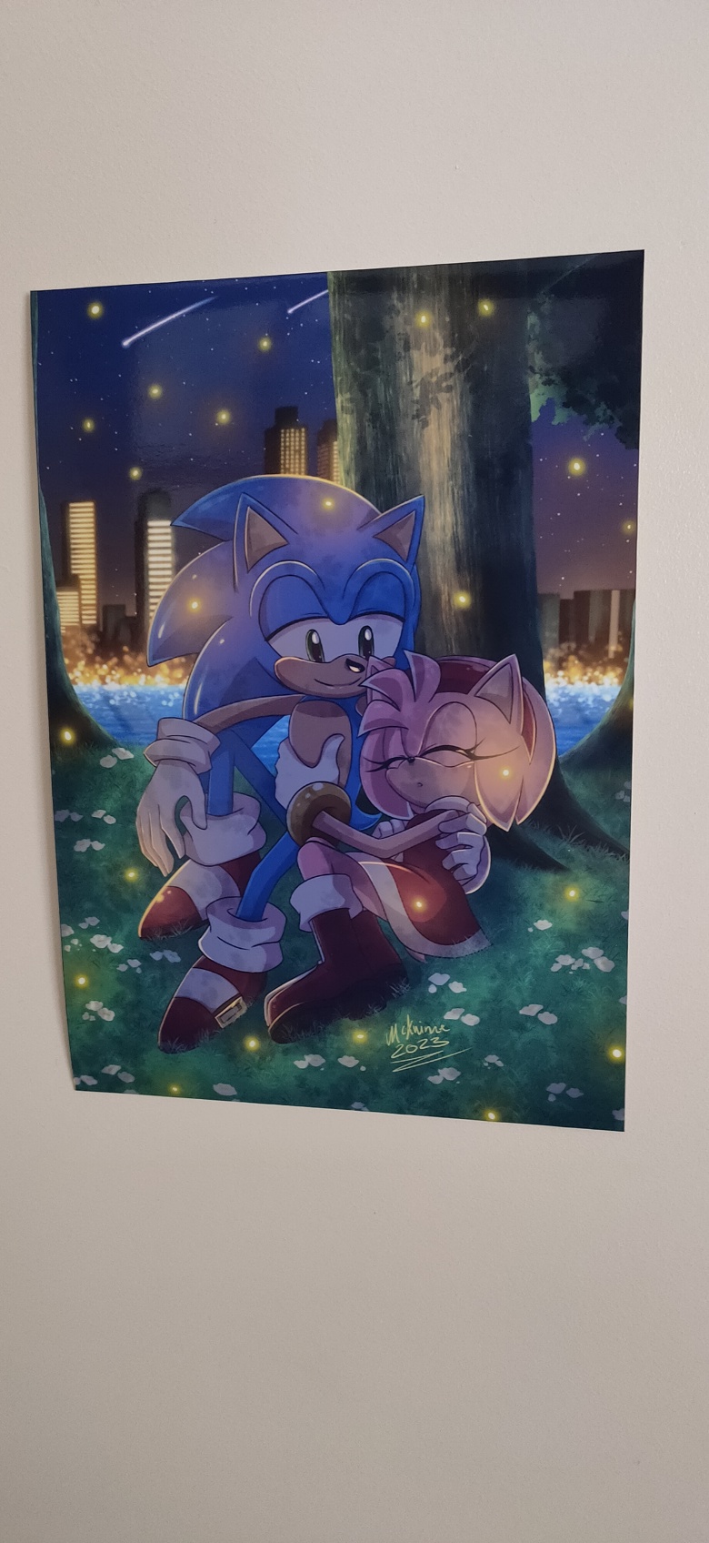 SonAmy fanart in 2023  Sonic the hedgehog, Fan art, Sonic