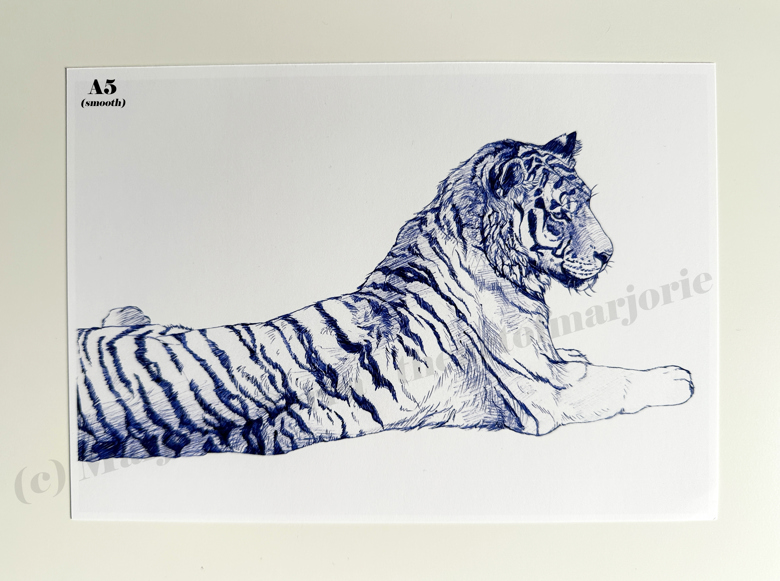 Blue Ballpoint Pen Animal Drawings