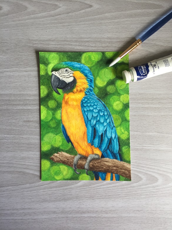 Parrot Original Watercolour Daniel Smith Painting ArtOfSofera S Ko   68bbc820 2ae8 4c52 8ae3 26147c3f70f9 Img 8094 