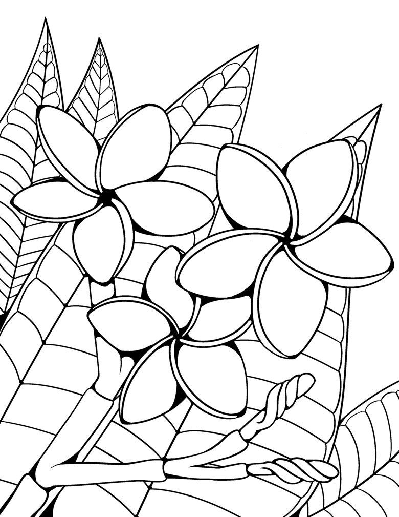 Flower Coloring Pages Sumis Ko Fi Shop Ko Fi ️ Where Creators Get