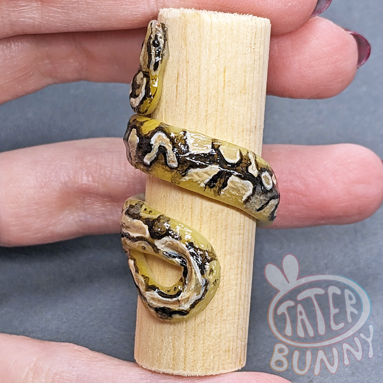 Ball Python Sculpted Ring *Exact pictured* - Tater's Ko-fi Shop - Ko-fi ...