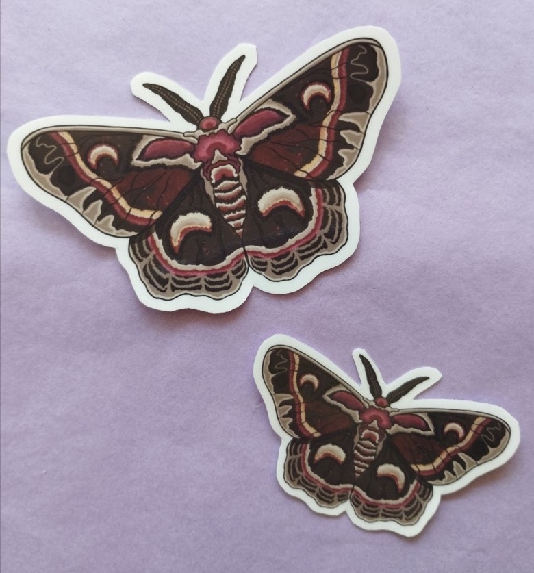 Cecropia Moth Sticker