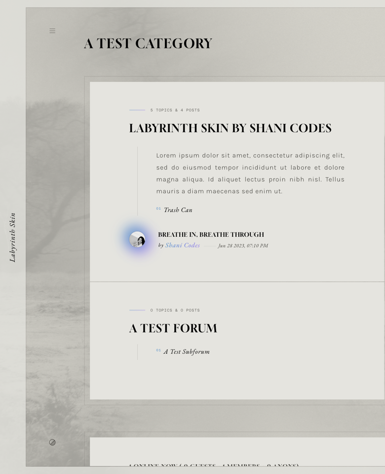 Labyrinth Skin - shani's Ko-fi Shop