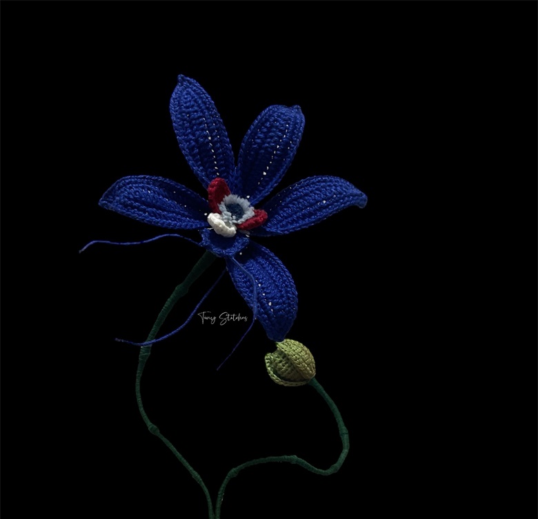 Have you heard about the blue ghost orchid??