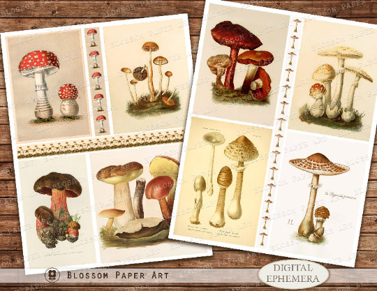 Printable Mushroom, Vintage Mushroom Ephemera for Junk Journal ...