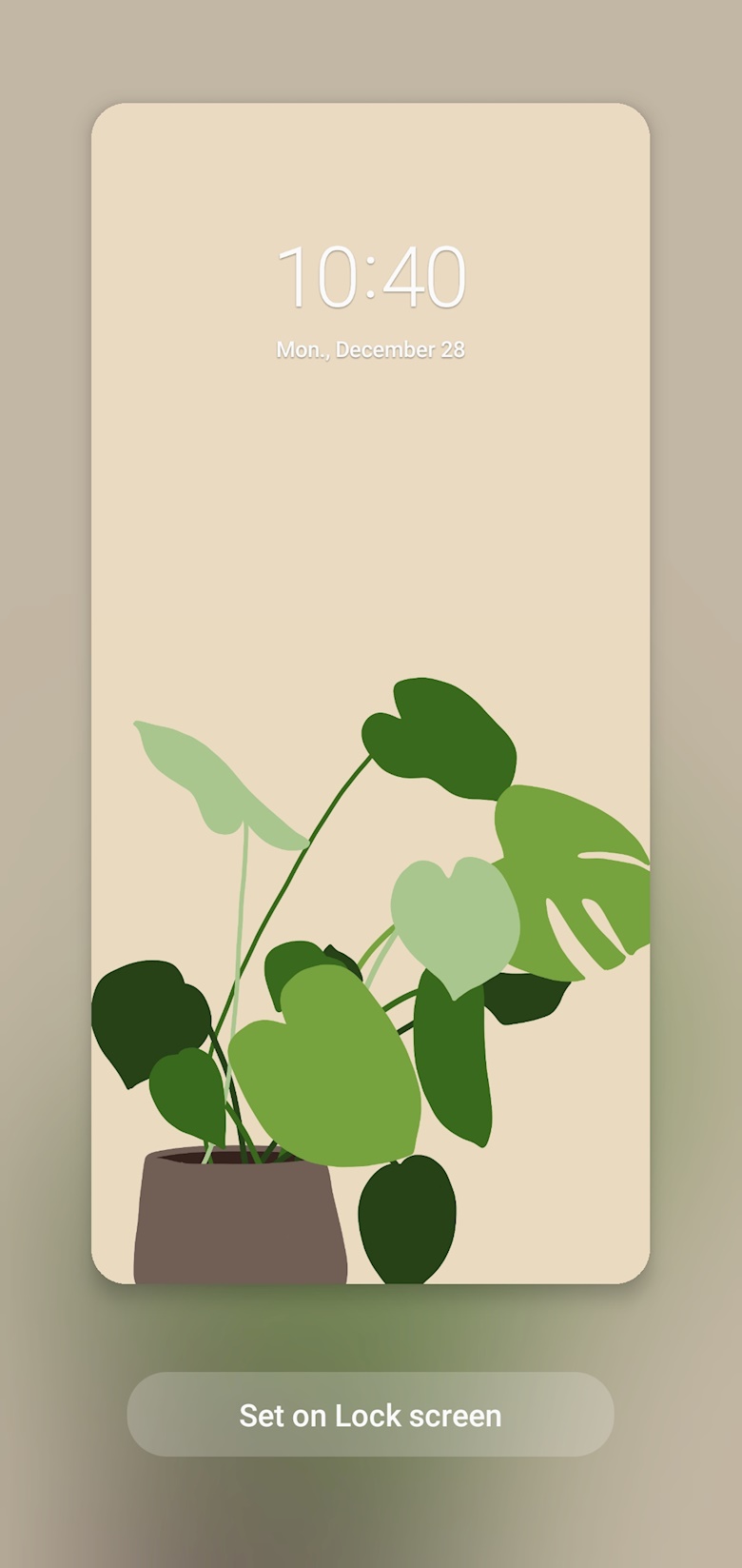 Green house plant phone background Stock Photo by Rawpixel  PhotoDune