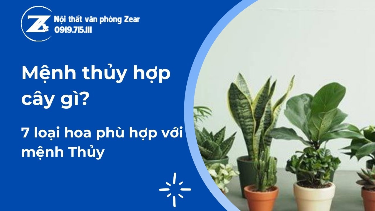 62 Mệnh Gì? Khám Phá Bí Ẩn Tuổi Nhâm Dần và Lời Khuyên Phong Thủy Đắt Giá