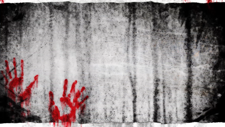 VHS Horror Background Pack ∎ Animated - Freya Amari's Ko-fi Shop - Ko ...