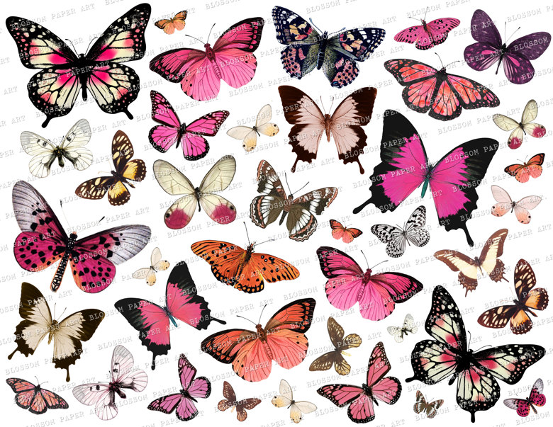 vintage-digital-collage-sheet-butterflies-printable-images-for-junk-journal-scrapbook-2472-junk-journal-printable-blossom-paper-art-s-ko-fi-shop-ko-fi-where-creators-get-support-from-fans-through