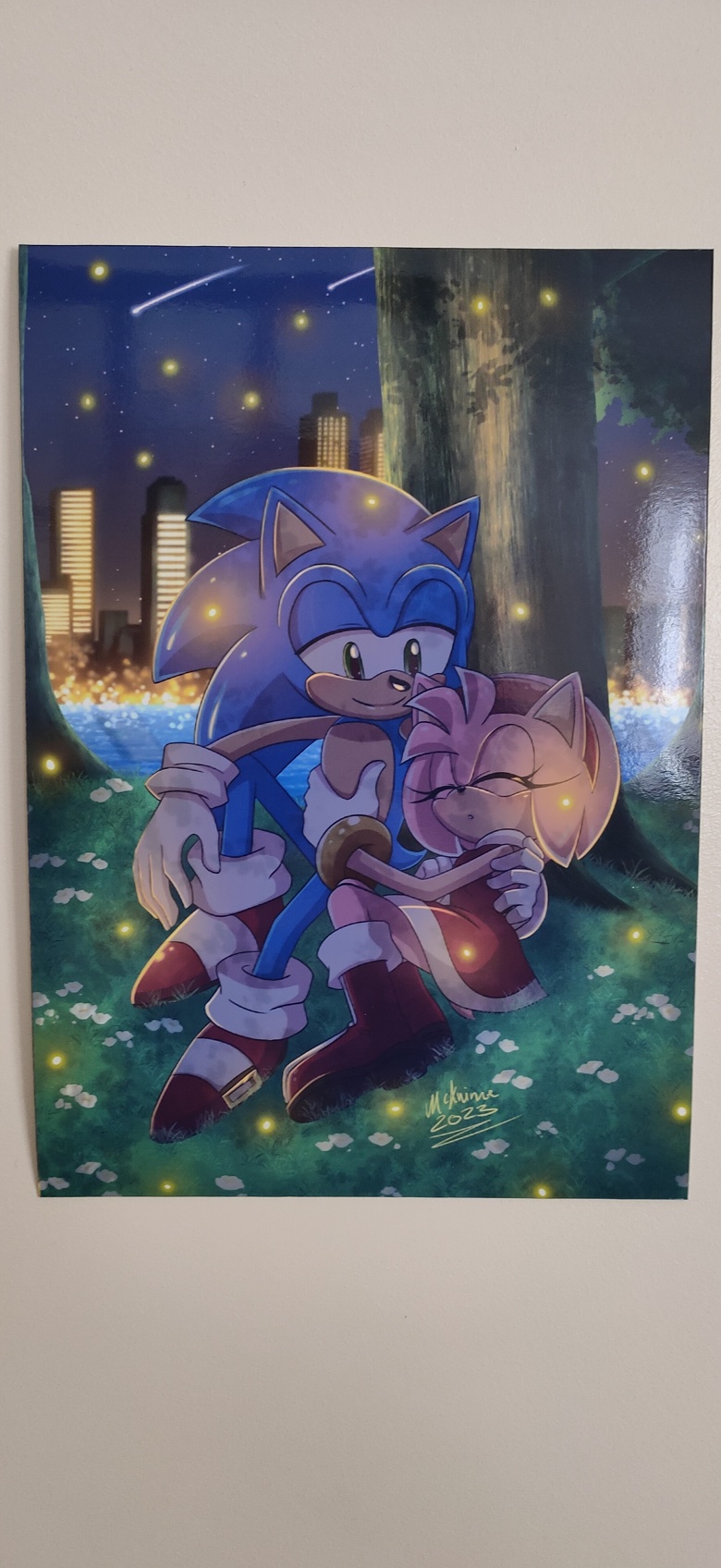 SonAmy fanart in 2023  Sonic the hedgehog, Fan art, Sonic