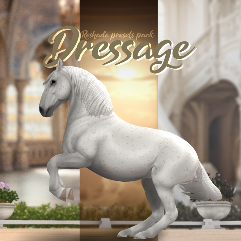 Dressage - 푪풉풆풓풊풆 푴풐풐풏 ☽'s Ko-fi Shop - Ko-fi ️ Where creators get ...