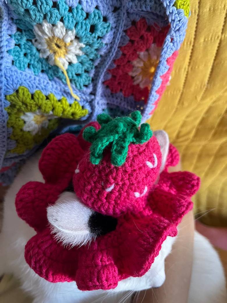 Cristaseya - Hare fur felt hat 【元箱あり】 Strawberry cat hat - Susana's Ko-fi Shop