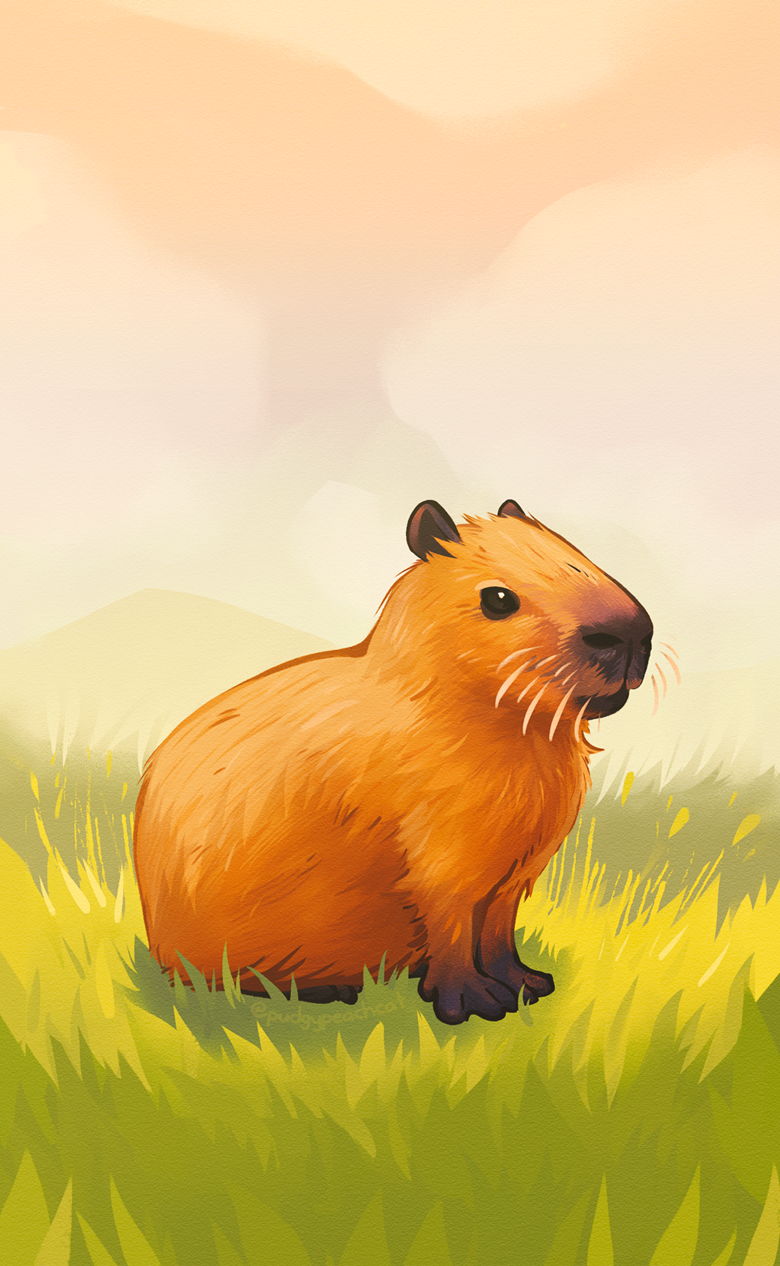 Capybaras Images  Free Download on Freepik
