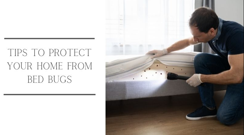 Tips To Protect Your Home From Bed Bugs - Ko-fi ️ Where creators get ...