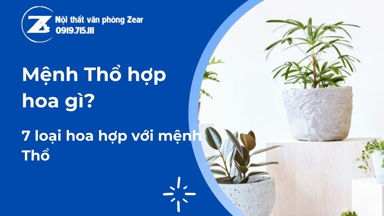 Hoa Phong Thủy Hợp Mệnh Thổ