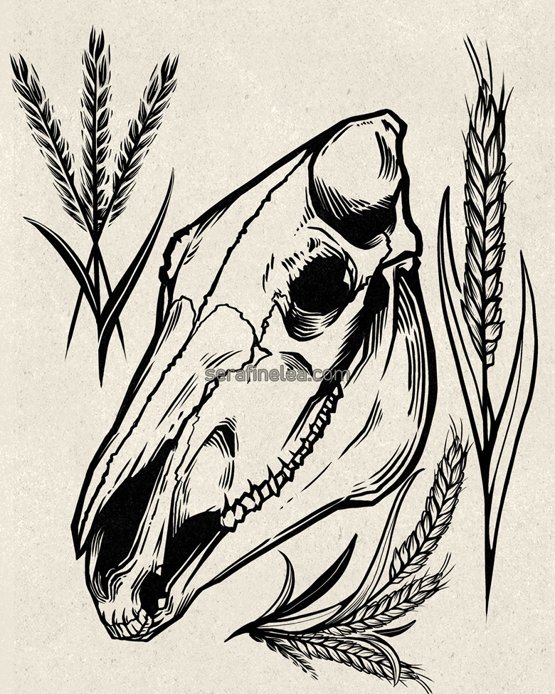 Ghost Rider Skull Horse Skeleton by Dan Scholz Tattoo Fine Art Print -  Purple Leopard Boutique