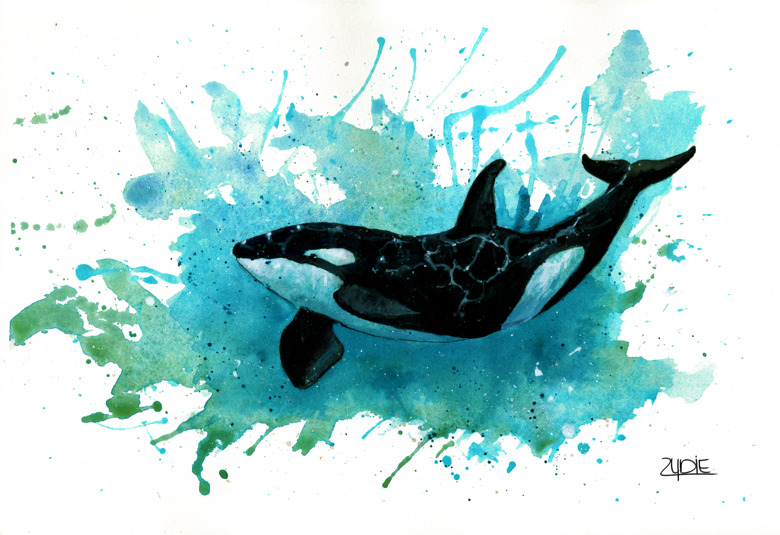 Orca Nr.3 - FineART-Print - Zydie's Ko-fi Shop - Ko-fi ️ Where creators ...