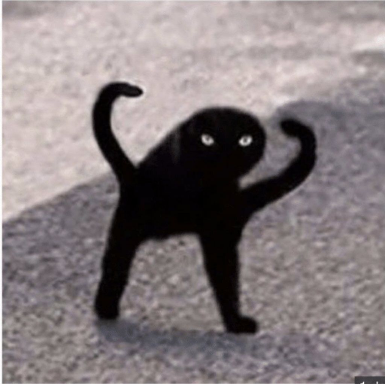 Cryptid cat model - lovecraftian - Fish's Ko-fi Shop - Ko-fi ️ Where ...