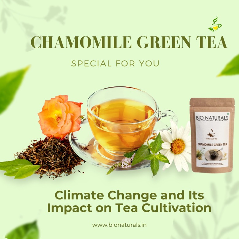 Climate Change and Its Impact on Tea Cultivation